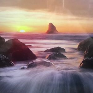 Meet your Posher, Alexia